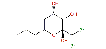 Pyranosylmagellanicus E